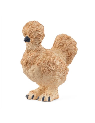 GALLINA SILKIE