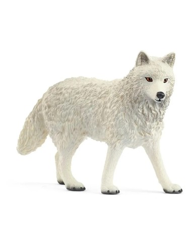 LOBO ARTICO ADULTO
