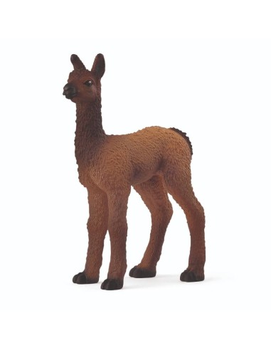 LLAMA FOAL