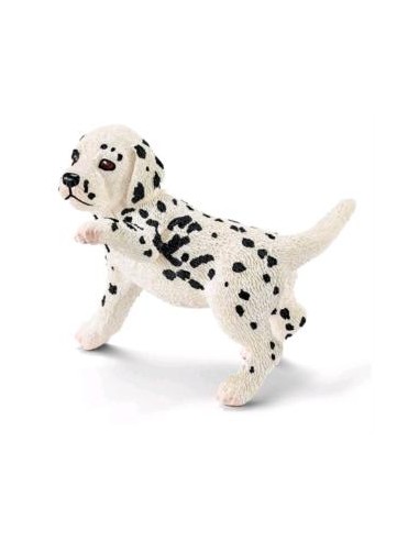 CACHORRO DALMATA