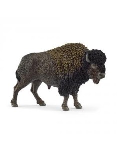 BISON