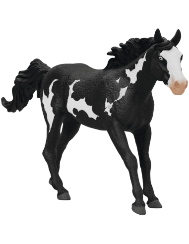 CABALLO CAPON PAINT HORSE
