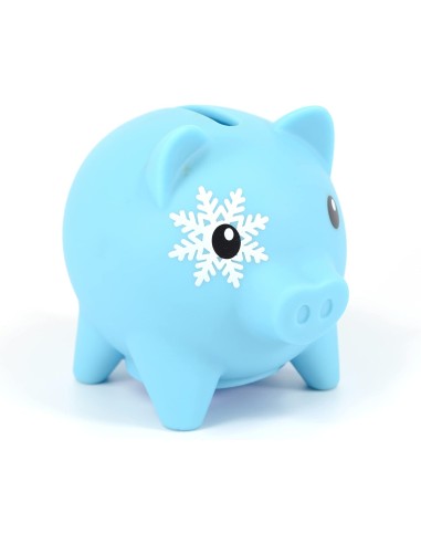 HUCHA POCKET MONEY PIGGIES, HAWAII, POP STAR,...