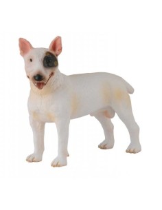 BULL TERRIER - MACHO