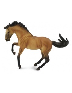 SEMENTAL LUSITANO - COLOR ANTE