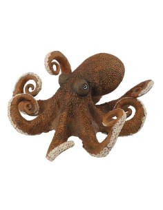 PULPO