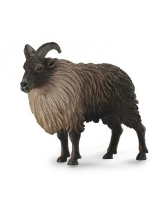 TAHR DEL HIMALAYA