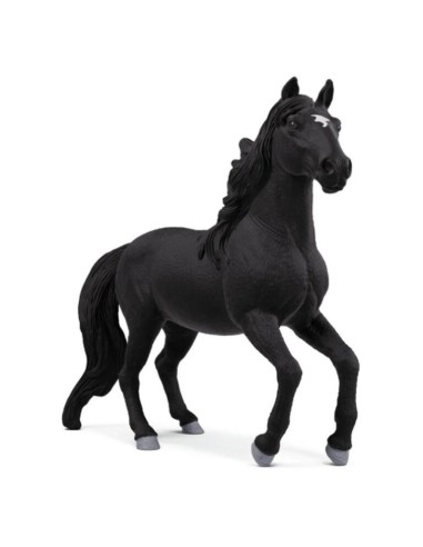 CABALLO LUSIANO