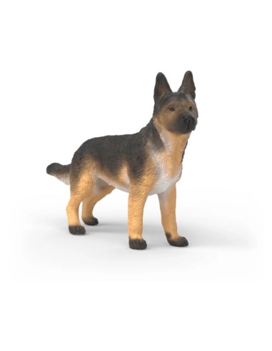 PASTOR ALEMAN HEMBRA