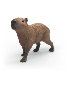 CAPIBARA