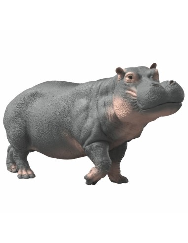 HIPOTOTAMO