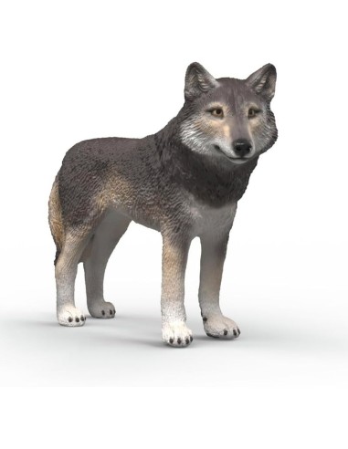 LOBO AMERICANO