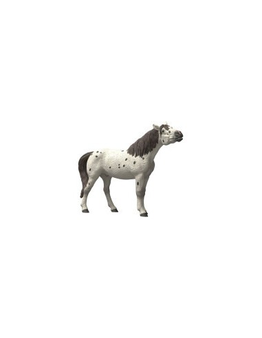 CABALLO KNABSTRUPPER