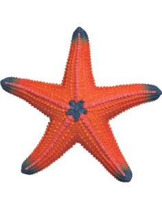 ESTRELLA DE MAR QUE CAMBIA DE COLOR