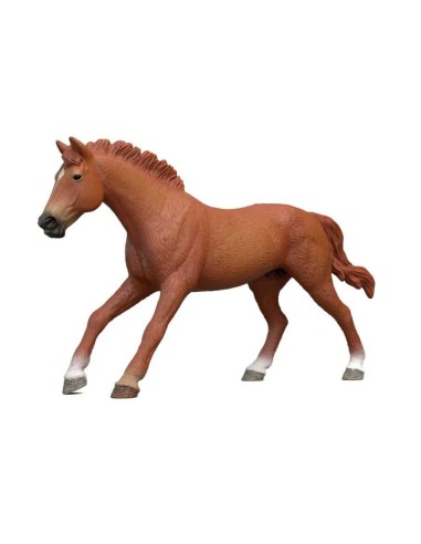 CABALLO PURA SANGRE INGLES