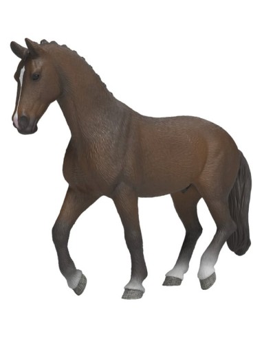 CABALLO HOLANDES