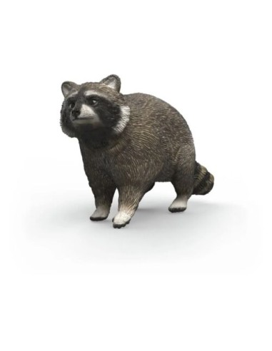 MAPACHE