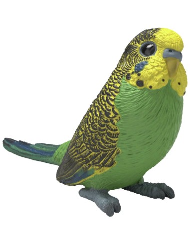 PERIQUITO
