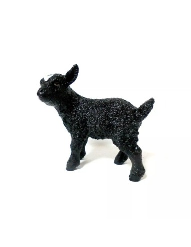 CABRITO NEGRO