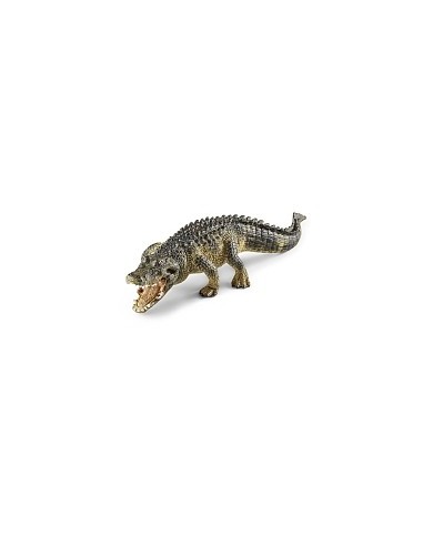 FIGURA CAIMAN