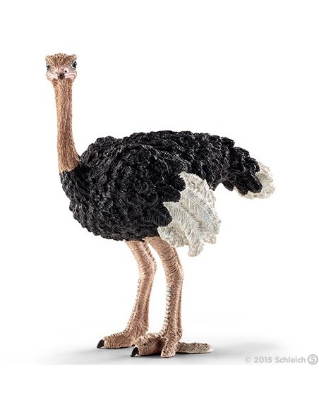 FIGURA AVESTRUZ