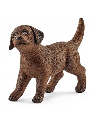 CACHORRO LABRADOR RETRIEVER