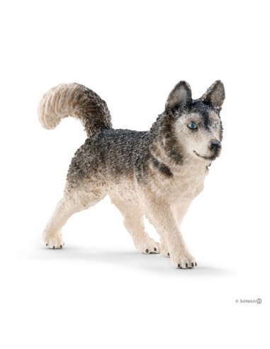 FIGURA HUSKY