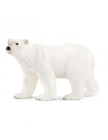 OSO POLAR