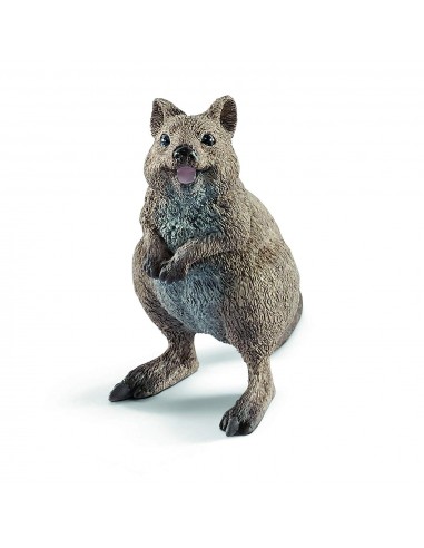 QUOKKA