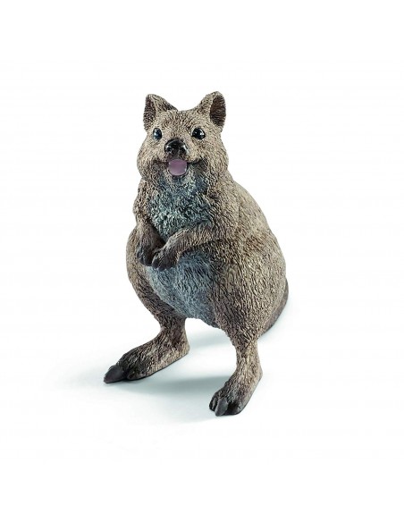 QUOKKA