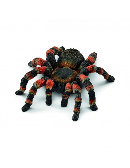 TARANTULA