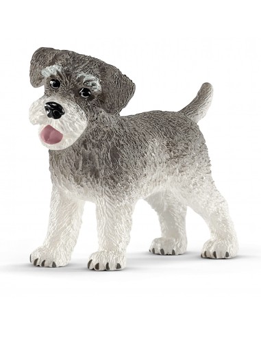 SCHNAUZER MINIATURA