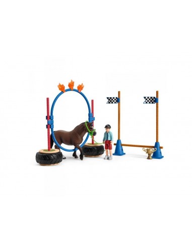 COMPETICION AGILITY PARA PONIS