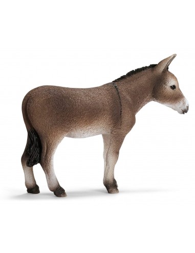 BURRO