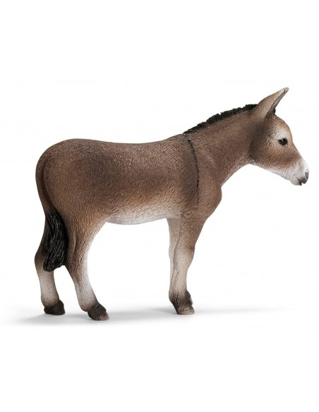 BURRO