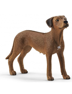 RHODESIAN RIDGEBACK, perro crestado rodesiano