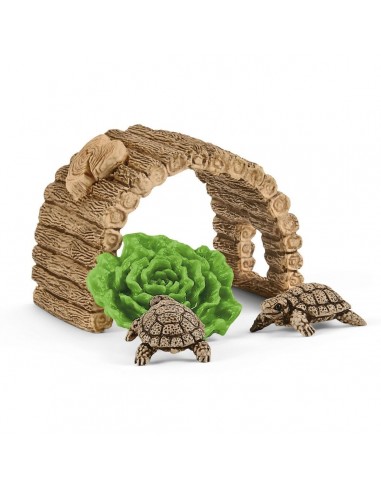CASA PARA TORTUGAS