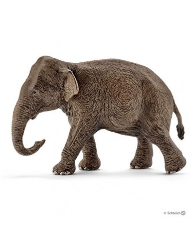 ELEFANTE ASIATICO HEMBRA