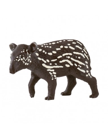 CRIA TAPIR MACHO