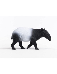 TAPIR