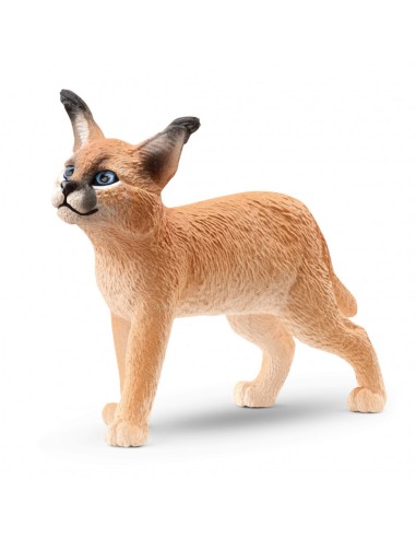 CACHORRO DE CARACAL