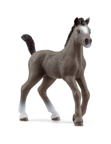 POTRO CHEVAL DE SELLE