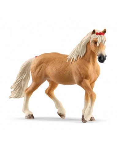 YEGUA HAFLINGER