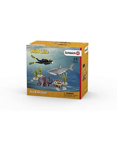 BUCEADOR  BUSCANDO TESOROS