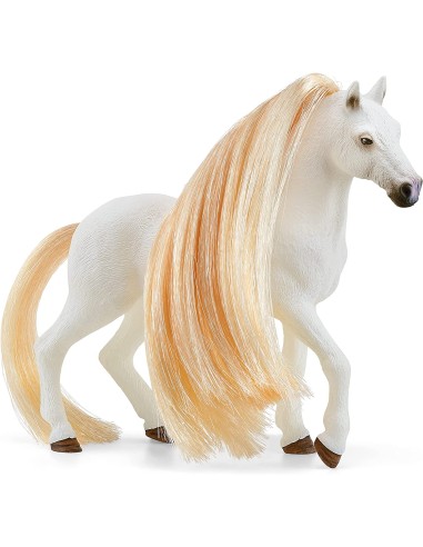 SALÓN DE BELLEZA HORSE CLUB