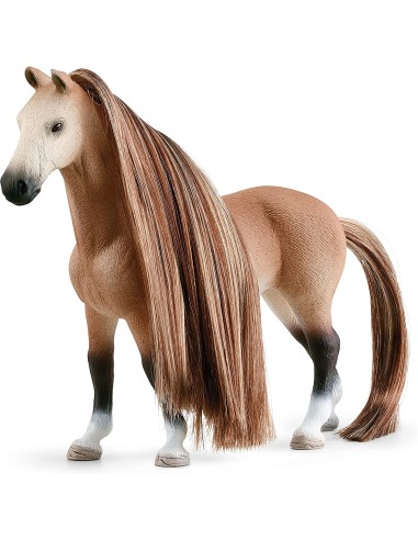 SALÓN DE BELLEZA HORSE CLUB